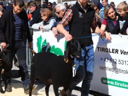 2019_ausstellung polling_298